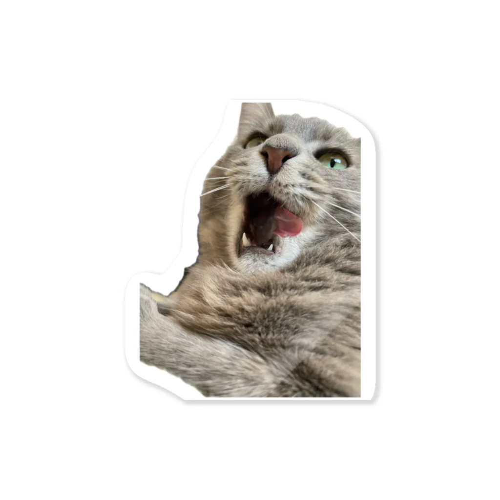 グレージュ猫ロッタン🐈‍⬛のあくびロッタン Sticker