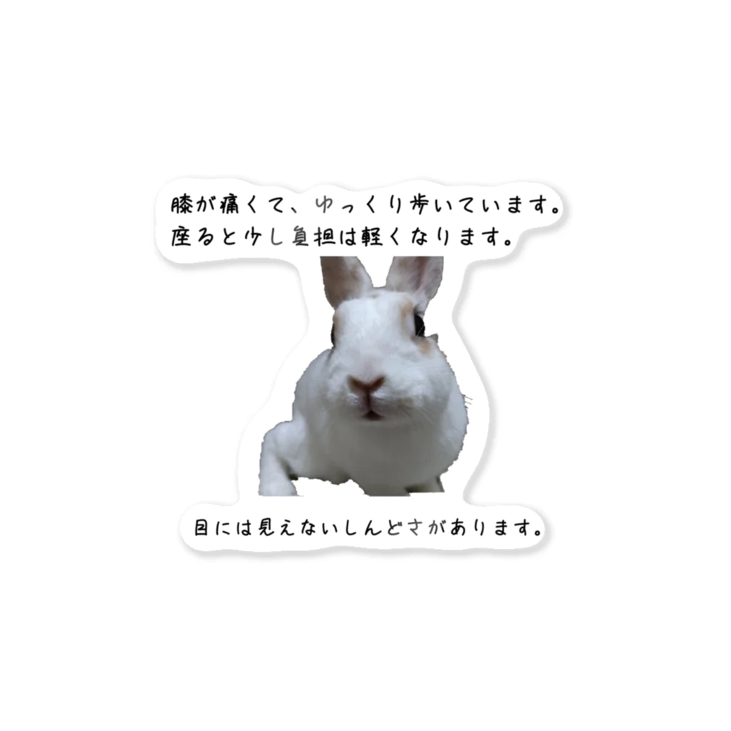 えり🐰らてましゅ🐰絵本出版中の膝痛いラテちゃん Sticker