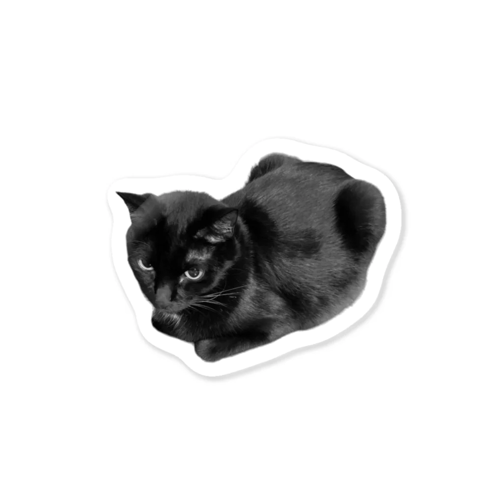 深夜の猫屋さんのはこねこなの Sticker