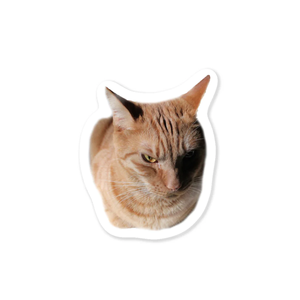 michael_sippoの威圧する猫 Sticker