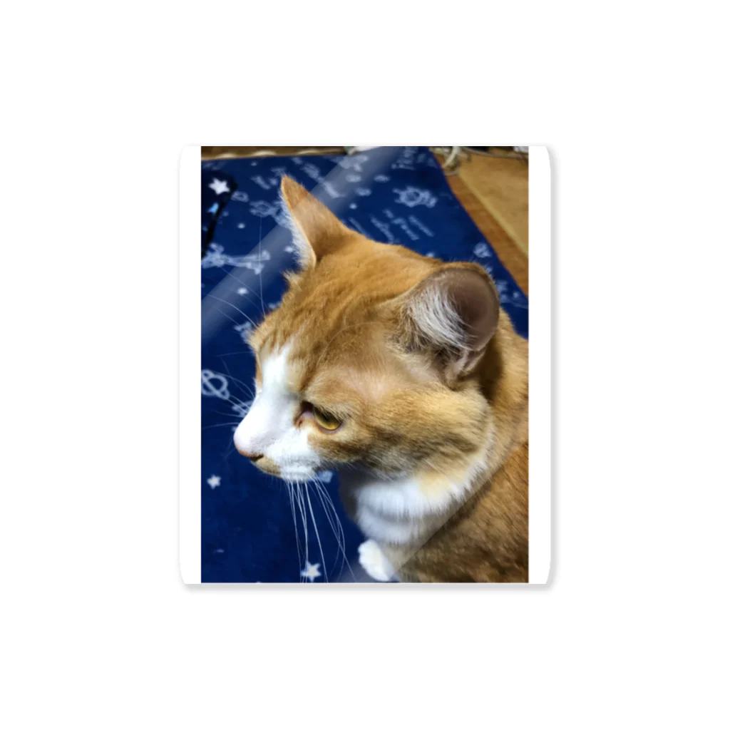 にこにこBLUEのイケ猫  にこくん Sticker