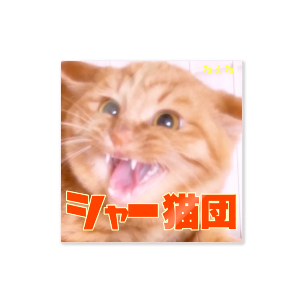 よりパパのシャー猫団（ねぇね） Sticker