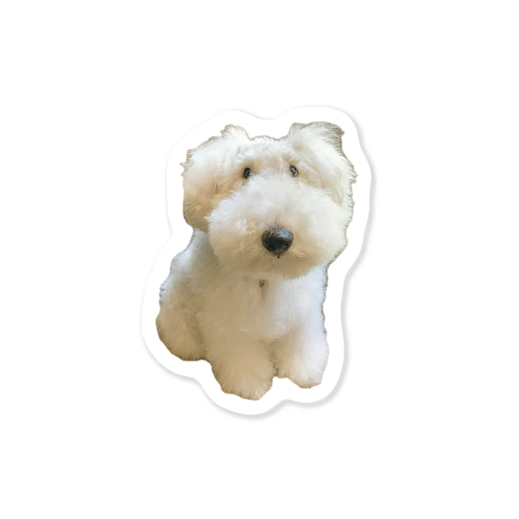 Chewchan&BenBenのふんわりほっぺのステッカー Fluffy cheeks sticker Sticker