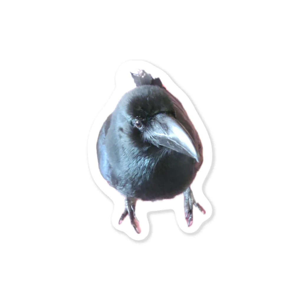 karasunikkiのまんまるカラスのハッピー Sticker