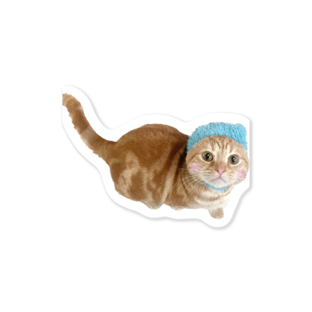 ねこもふ生活のねこもふ生活のちゃーぼー Sticker