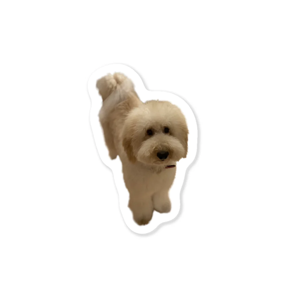 モフモフ犬のトゥトゥのトゥトゥ2 Sticker