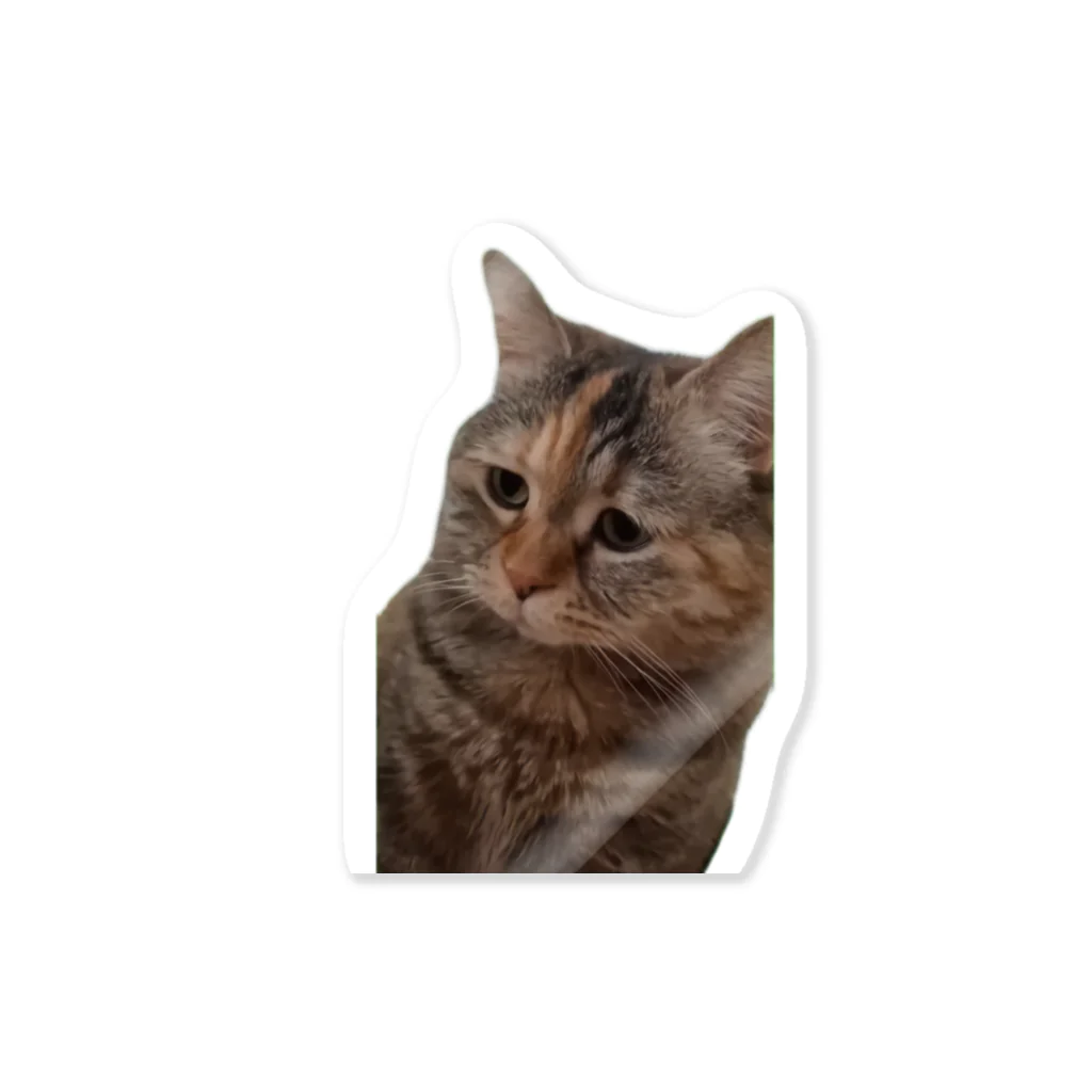 猫ミームグッズの【猫ミーム】叱られる猫 Sticker