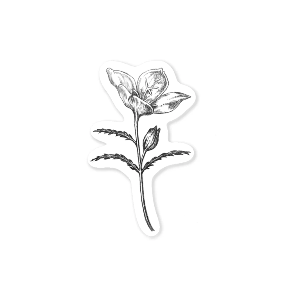 ペンで描く植物の詩のevening primrose  ステッカー