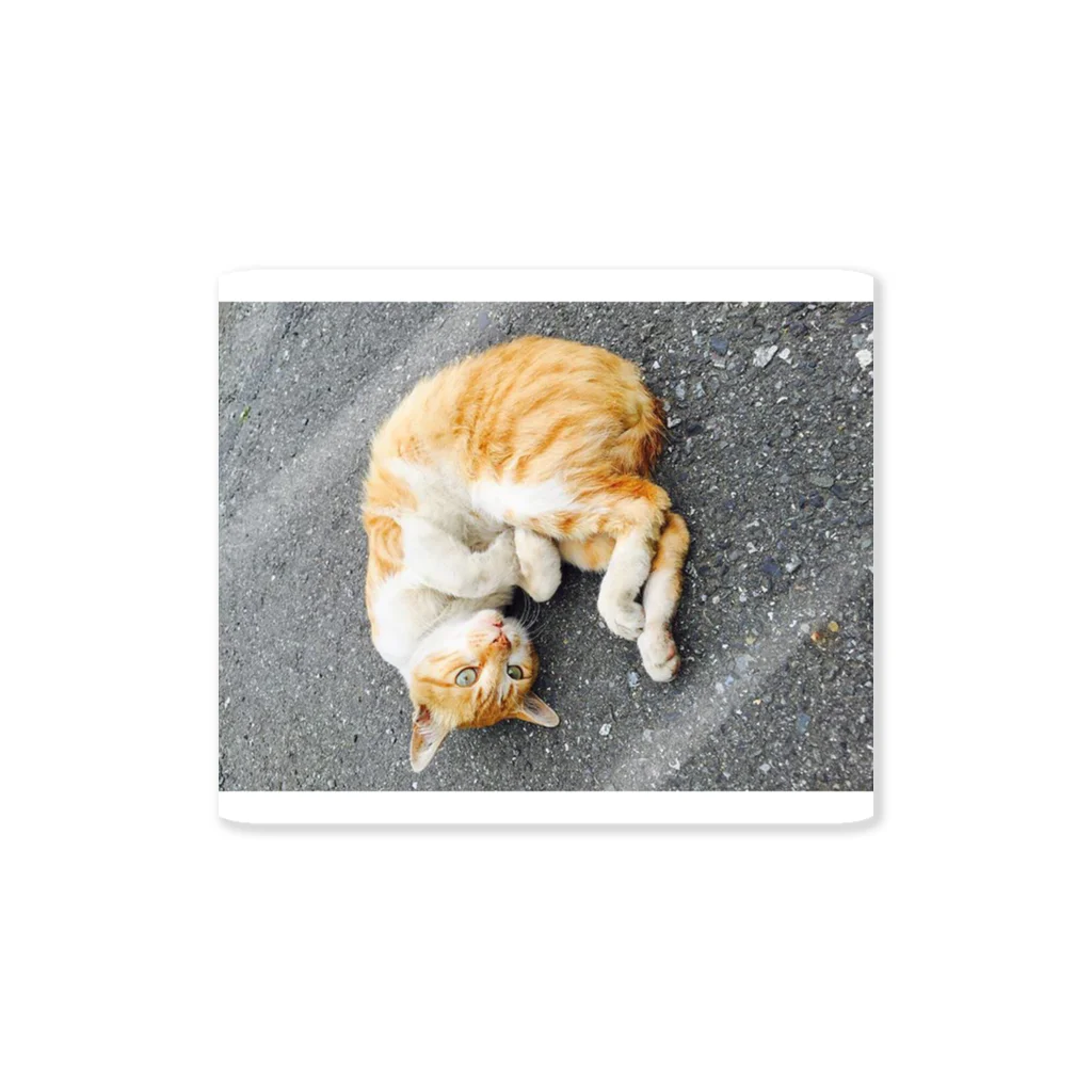 おのあきおの丸まり猫 Sticker