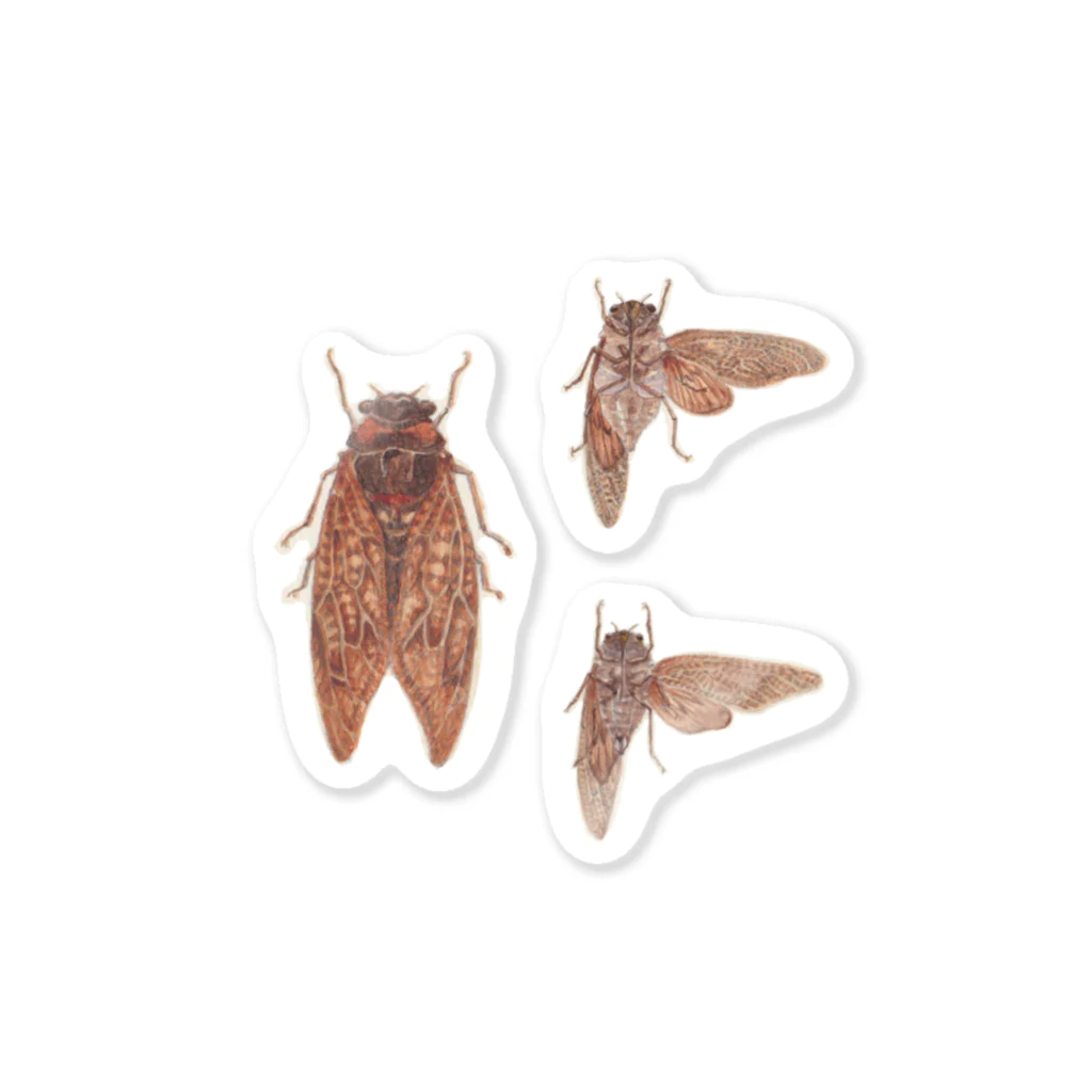 いいだ あやかのCICADA Sticker