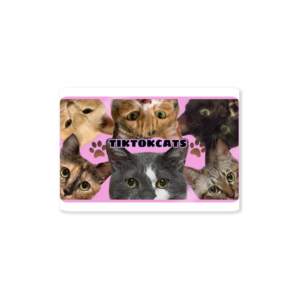くぅTikTok猫部のTikTok猫部チラ見ステッカー ピンク Sticker