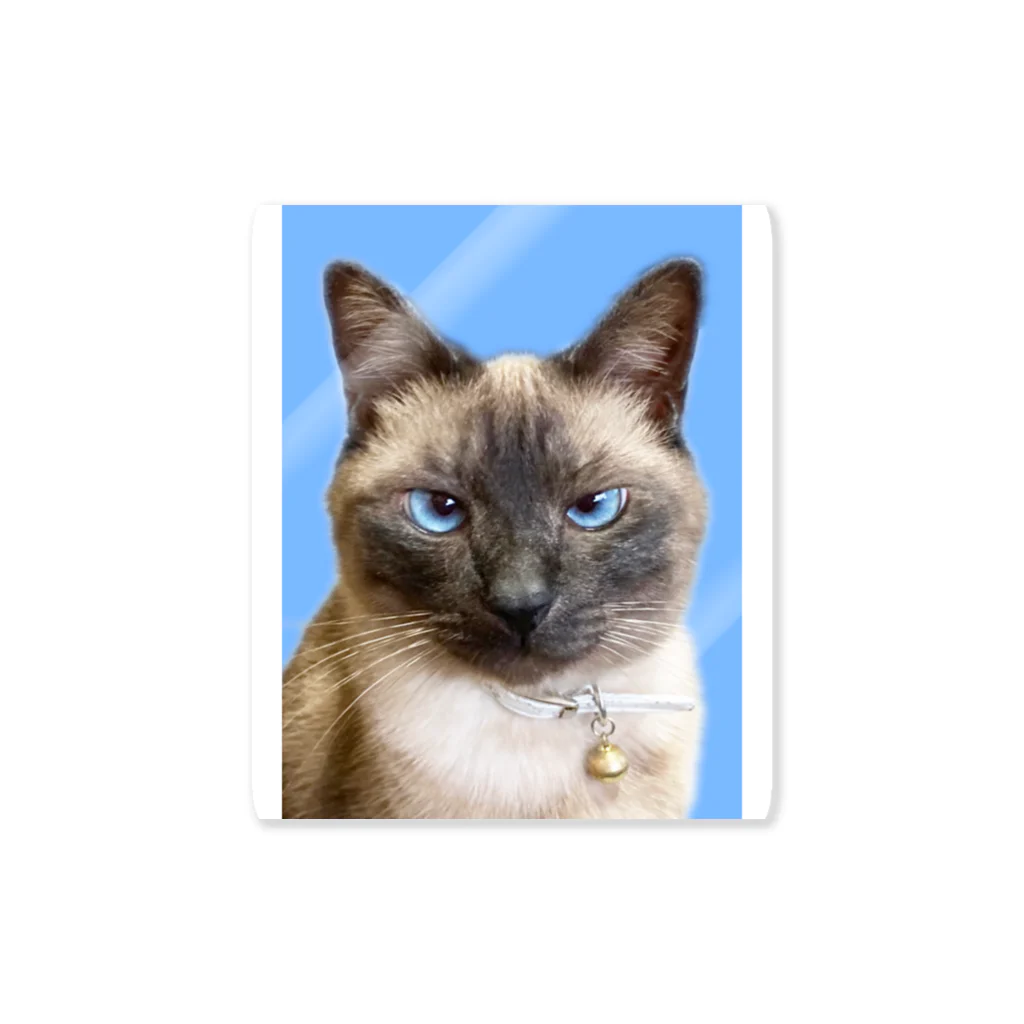 Earl_grey_31のシャム猫の証明写真 ステッカー