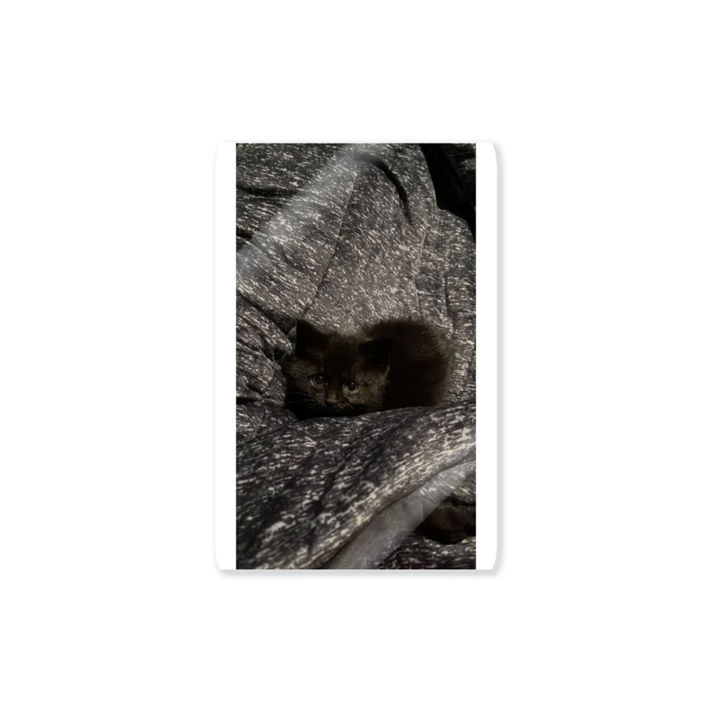 黒猫くぅのおみせの黒猫まいきー Sticker