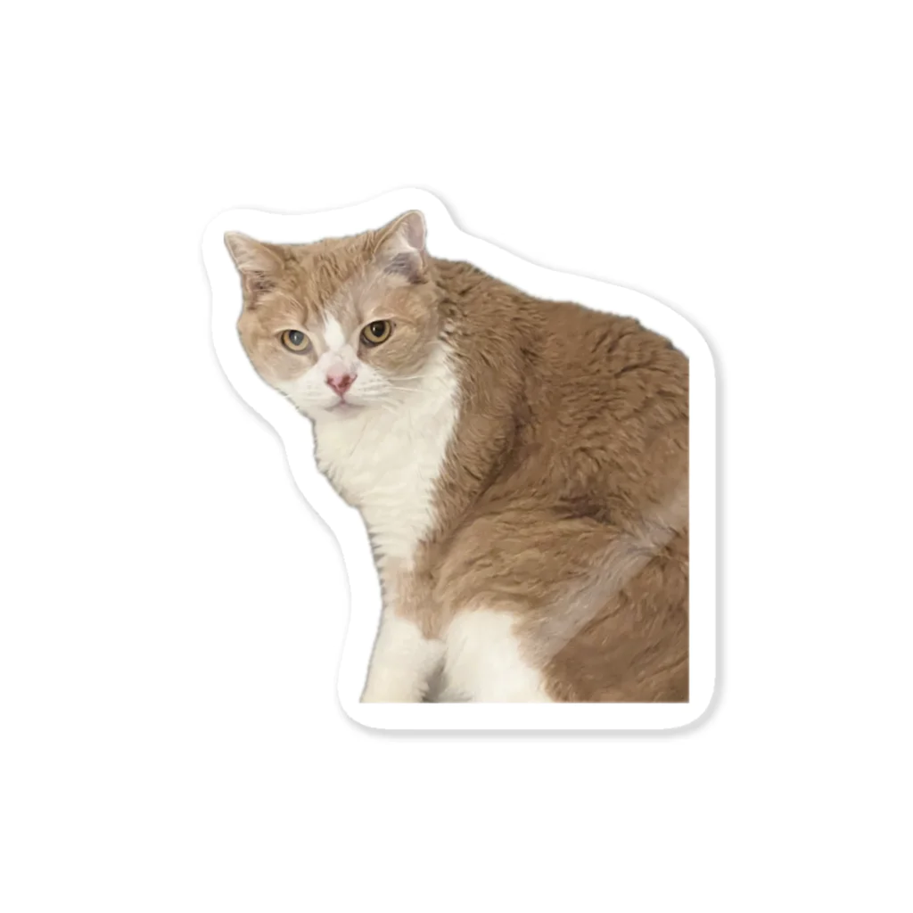 Mashlyのマシロくん猫グッズ Sticker