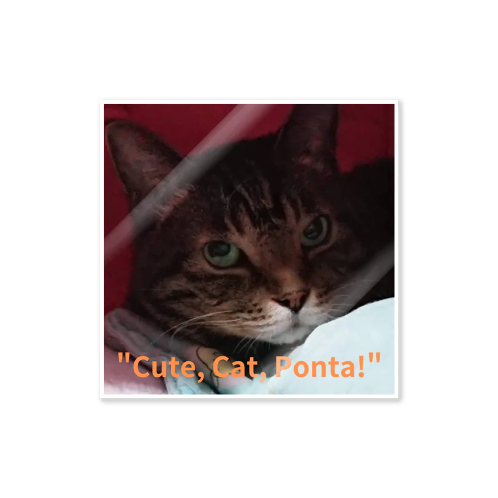 yuo1040yamato Soraの"cute. Cat. Ponta!" Sticker