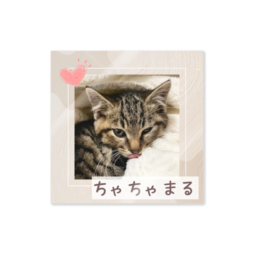 とら(=^ェ^=)ちゃちゃのちゃちゃまる Sticker