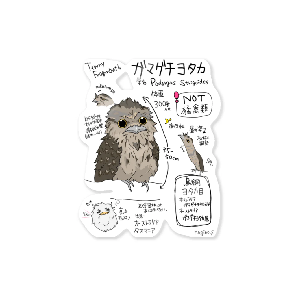 ＼(ナギノ)／動物図鑑イラストシリーズ増やしたい民の図鑑イラストシリーズ第5段『ガマグチヨタカ』 ステッカー