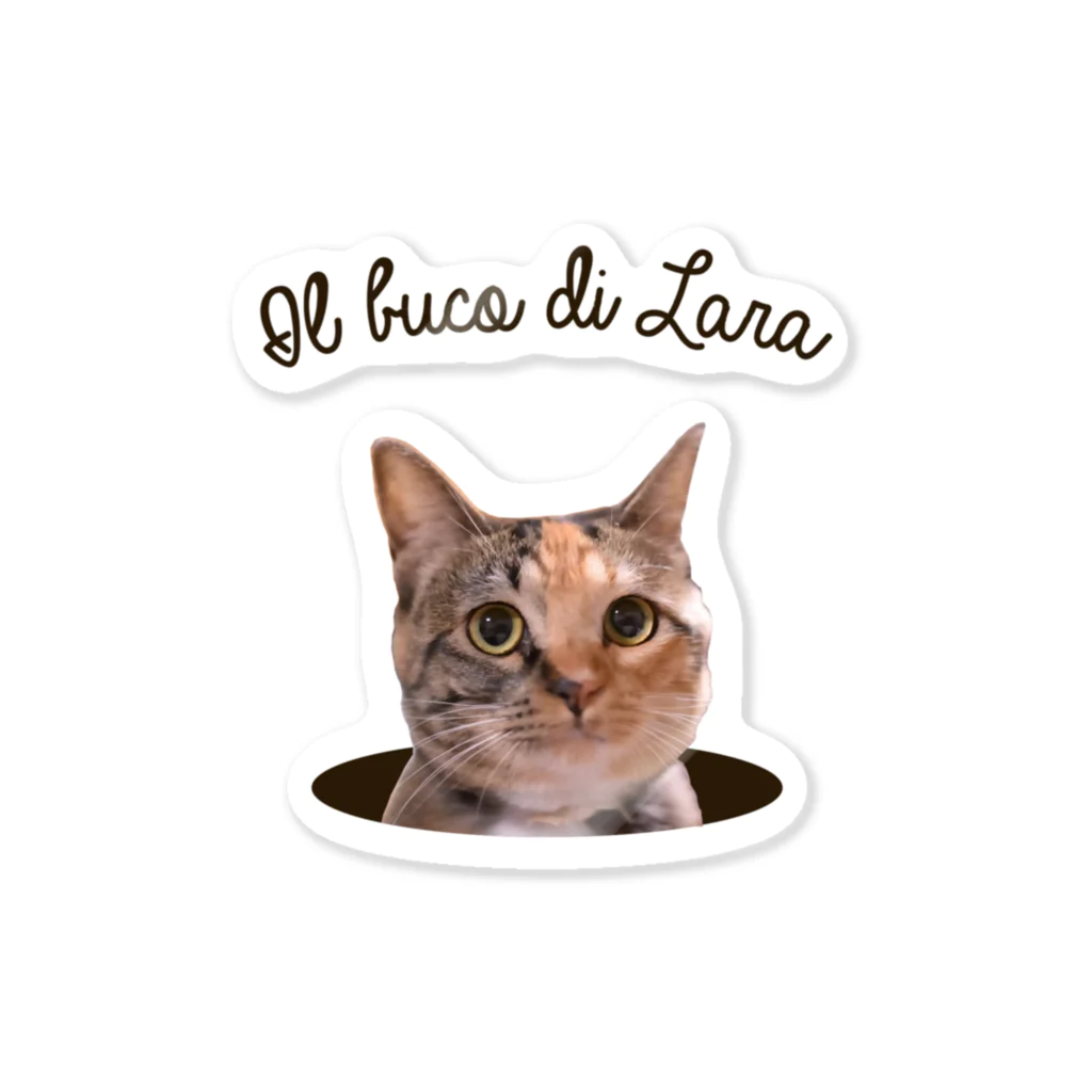 Twelve CatsのIl buco di Lara Sticker