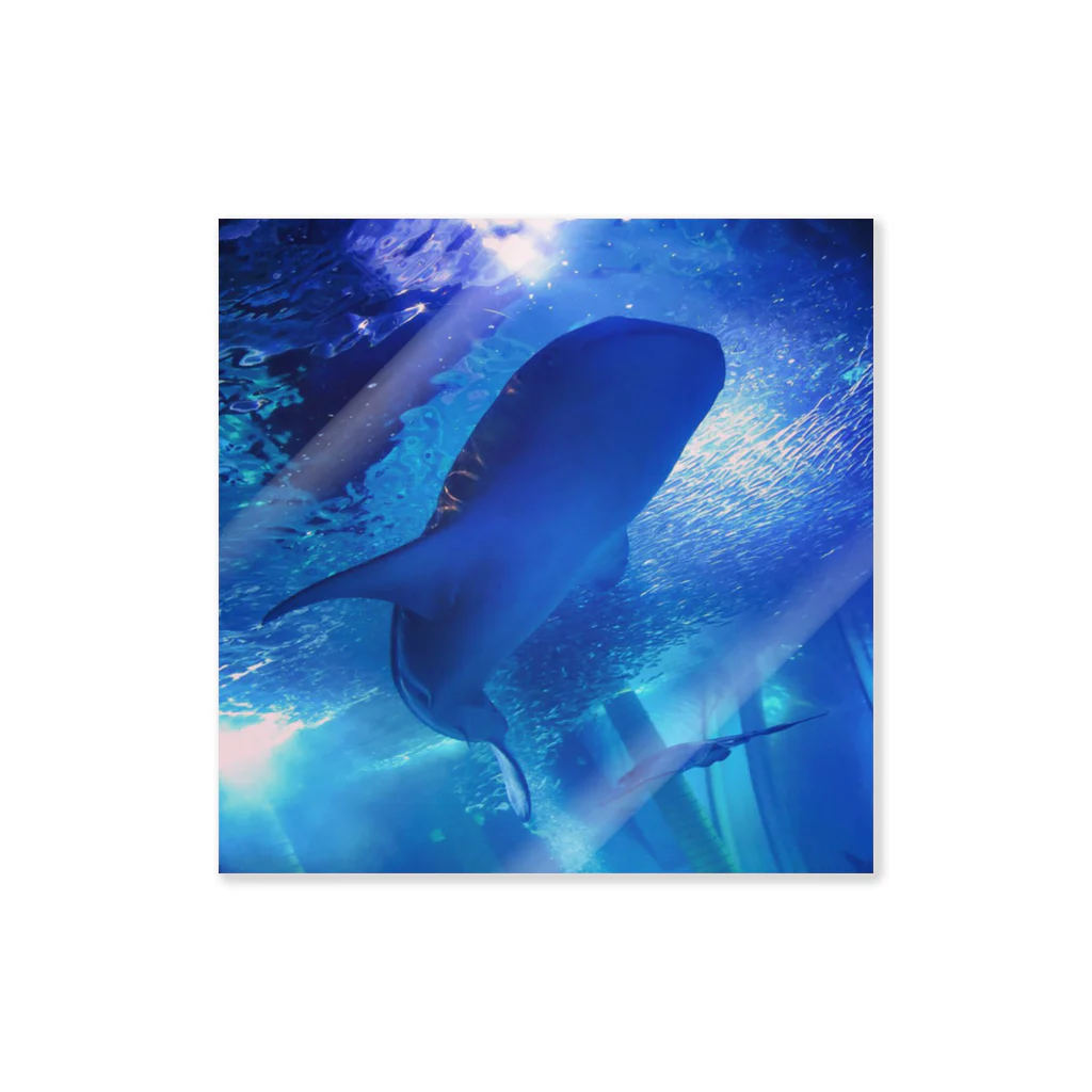 sheseesseaのWhale shark ステッカー