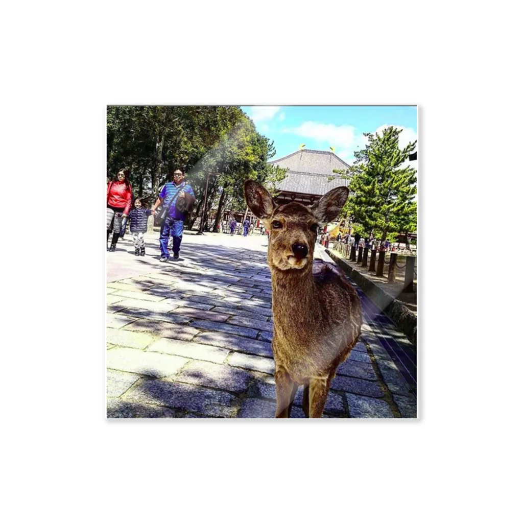 ならばー地亜貴(c_c)bのカメラ目線の奈良の鹿 ステッカー