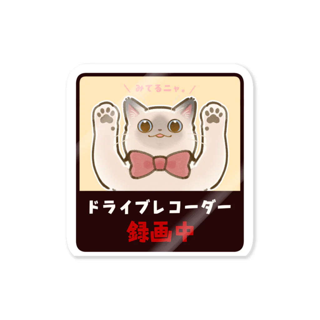 ねこの巣のドラレコ録画中【ポインテッド】 스티커