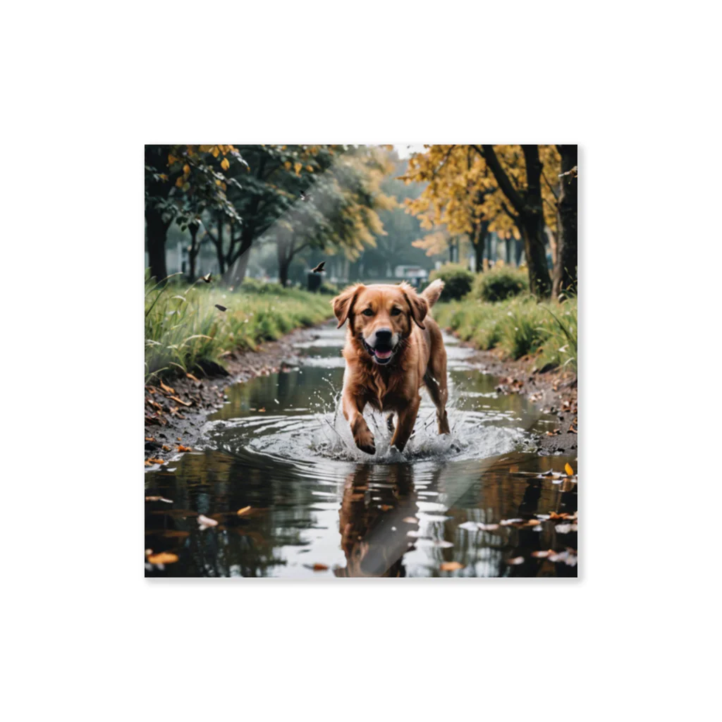 kokin0の水辺を歩く犬 dog on the water Sticker