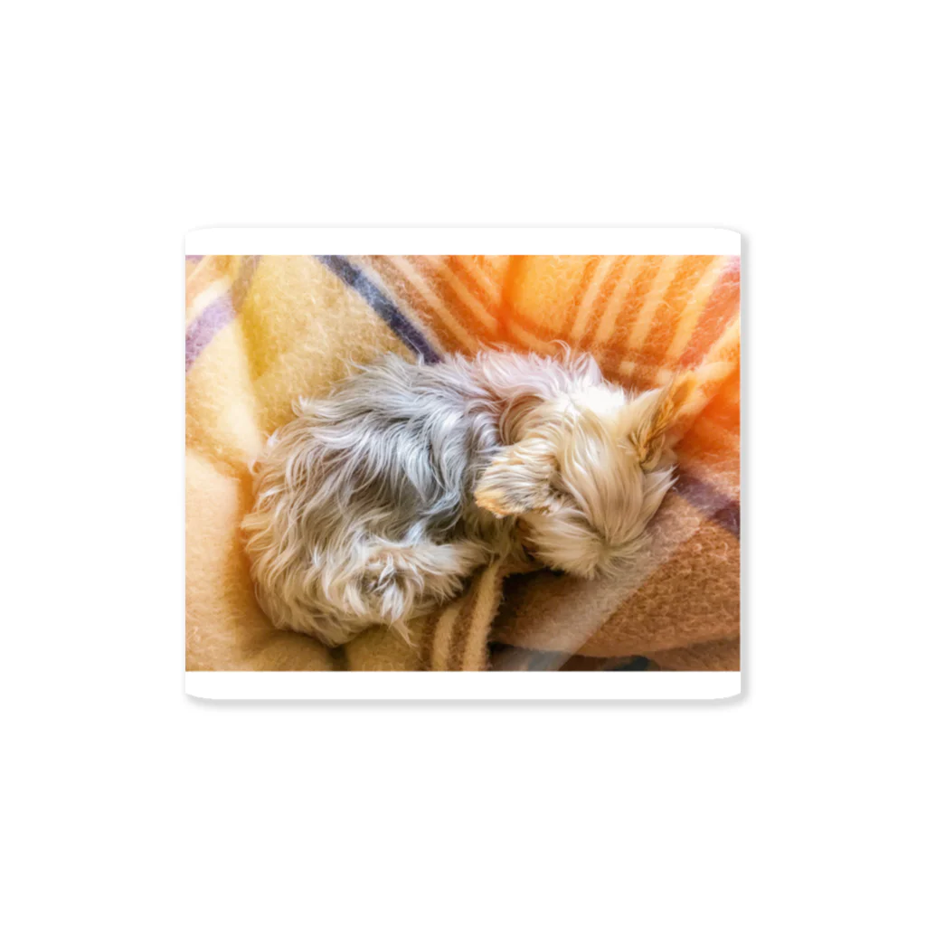 daichizzzのライム〜奥さん家の犬〜 Sticker