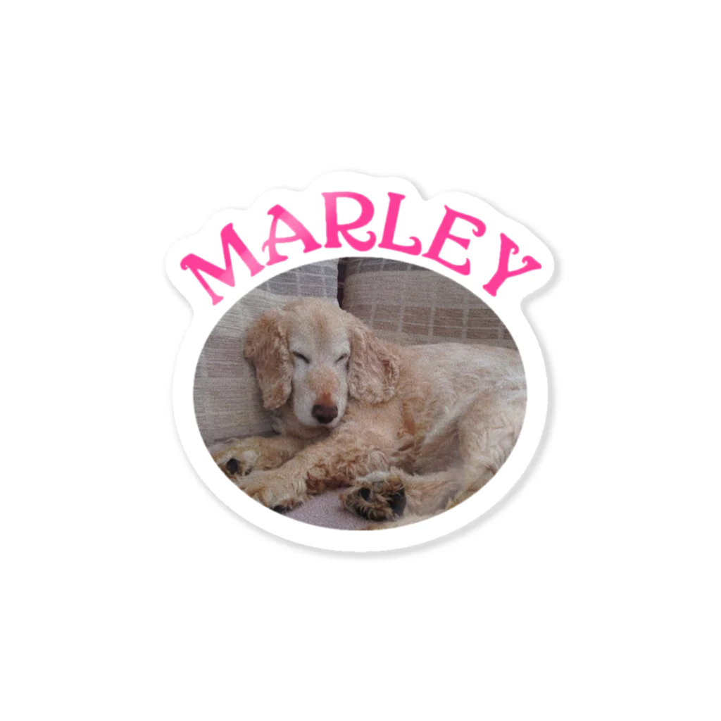 きゃうのMARLEY Sticker