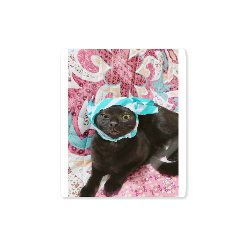 leoleoleのぶちゃ猫こんぶくん Sticker