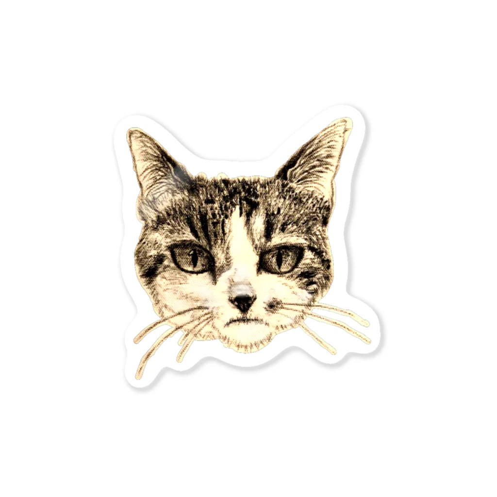 ぴえぴえの生意気な猫. Sticker