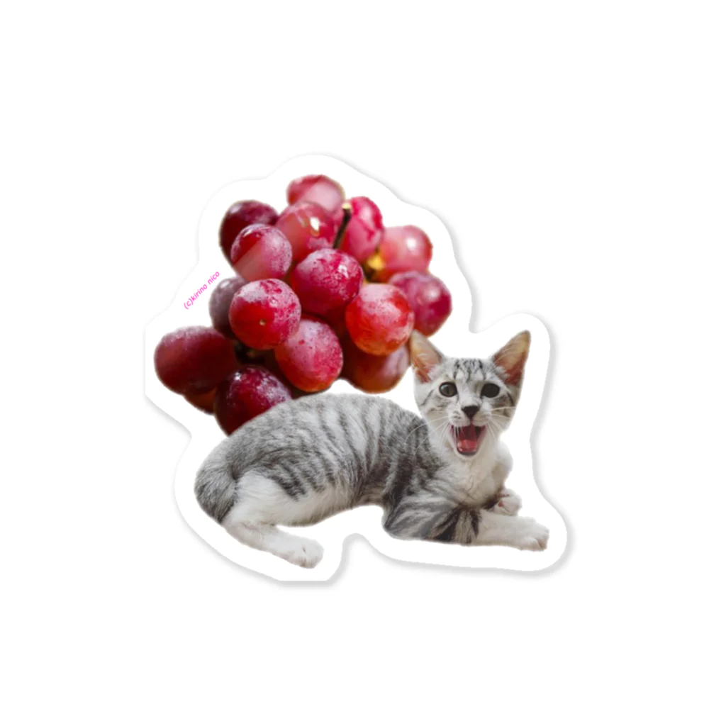 保護猫カフェ「駒猫」さん家のNo.3 ぶどうくん♪ Sticker