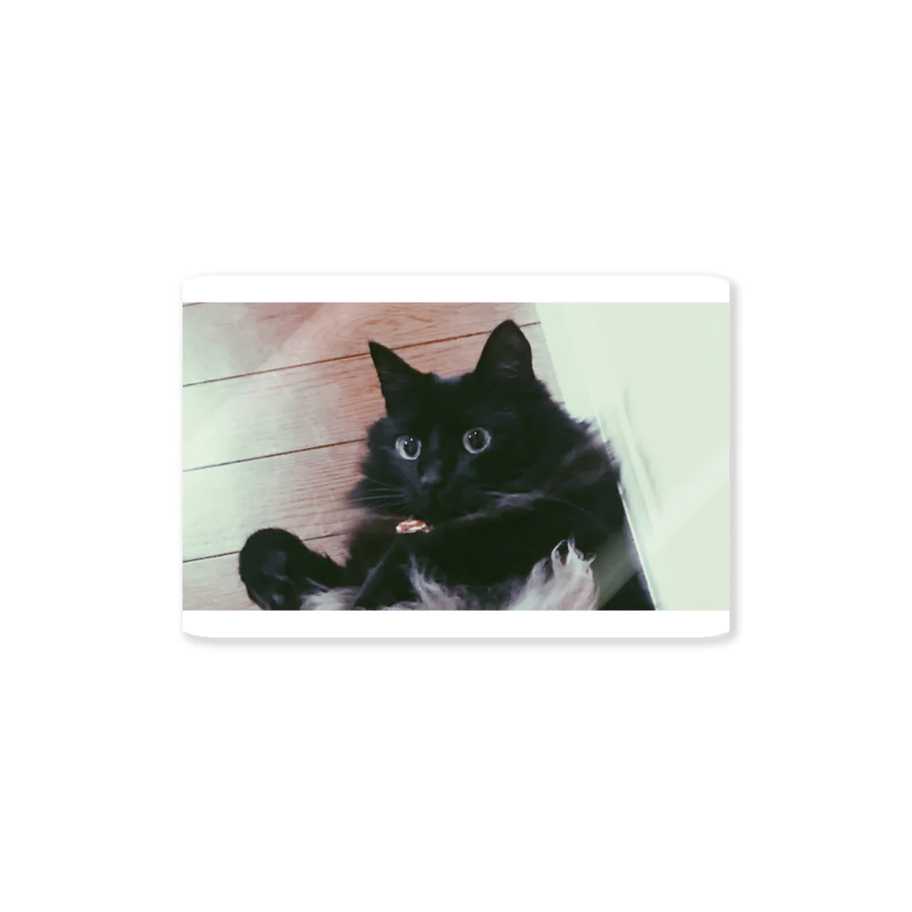 黒猫の住処の黒猫びっくりシリーズ Sticker