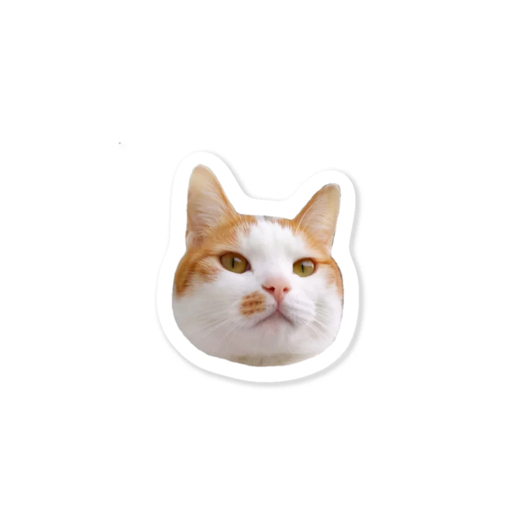 にゃん福堂　猫雑貨のお店の茶白猫 ヴィン Sticker