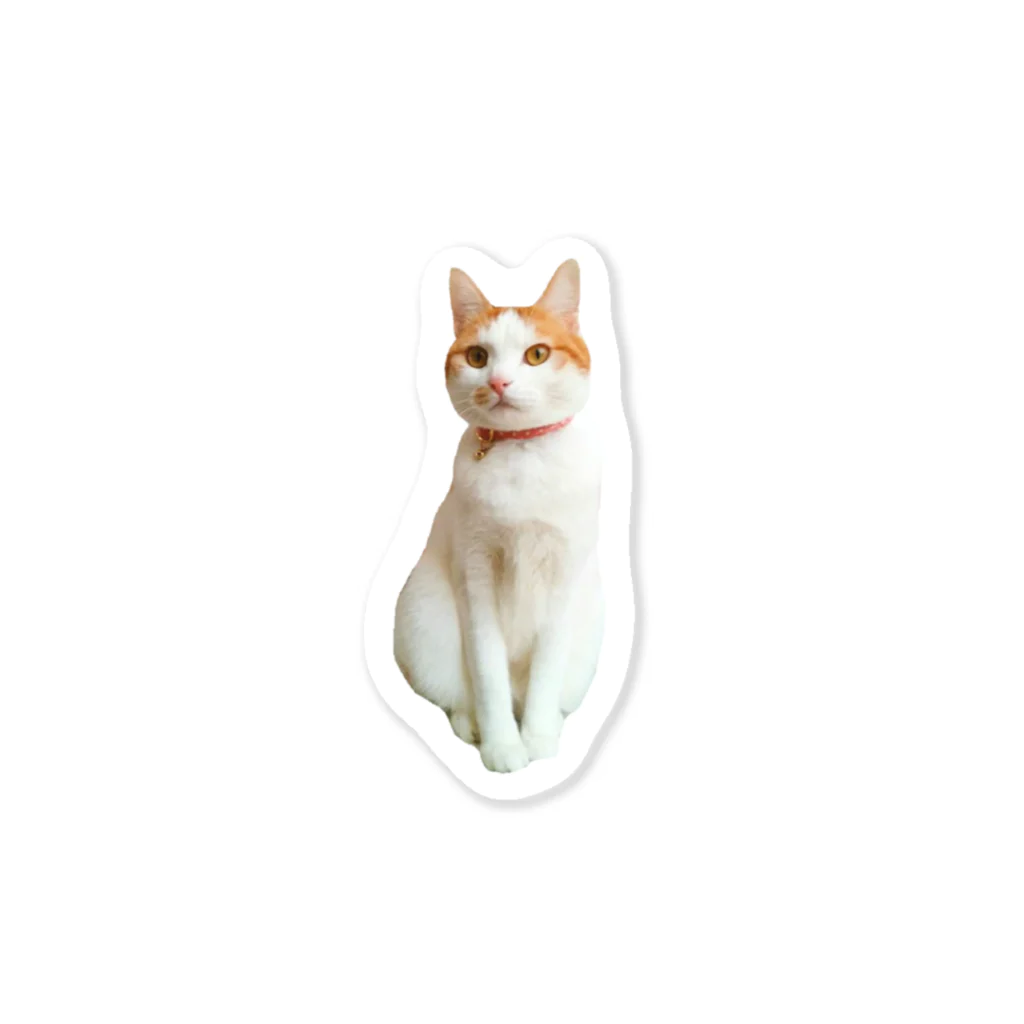 にゃん福堂　猫雑貨のお店のヴィン ステッカー Sticker