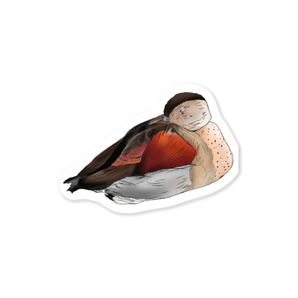 Lily bird（リリーバード）のクビワコガモ フルカラー Sticker