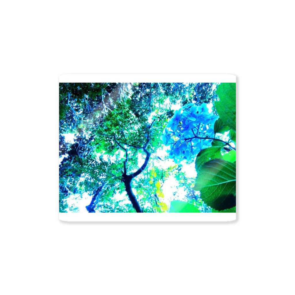 メンヘラガールの紫陽花 ステッカー Sticker