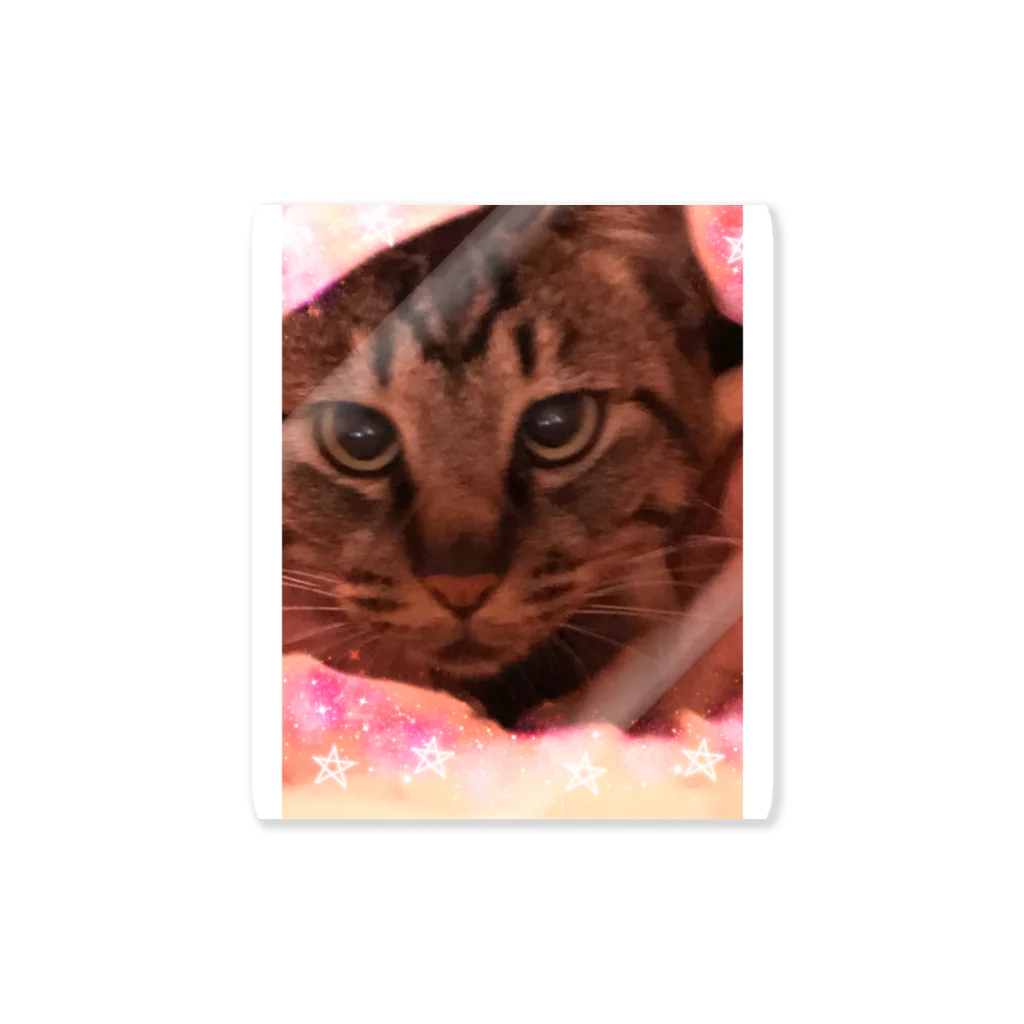 lunamoonaoのしましま猫ちゃん。 Sticker