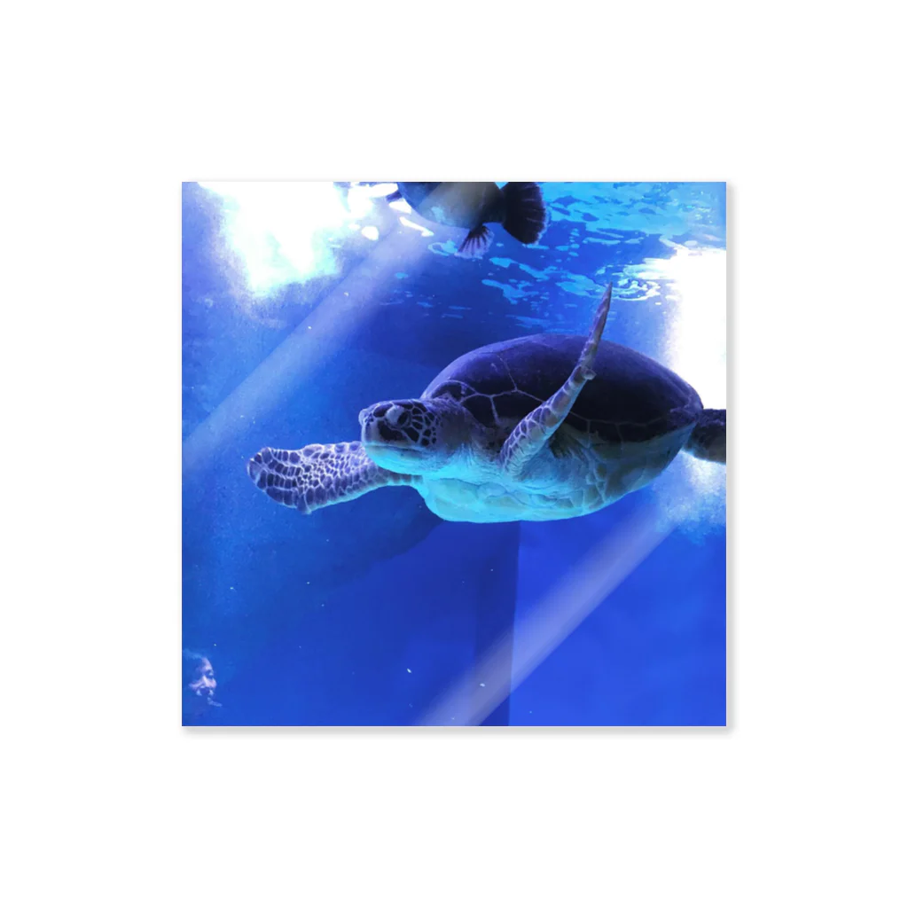 hachimitsu0502の海亀 Sticker