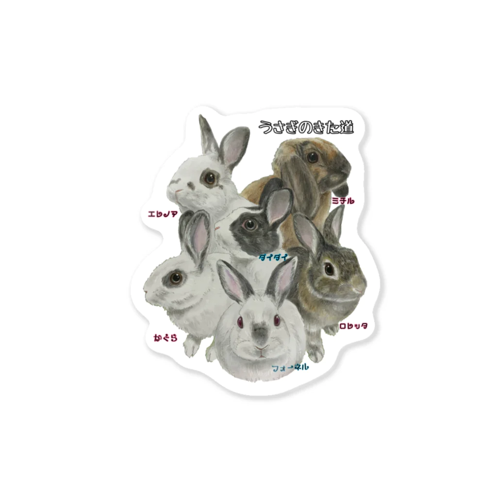 🐇のんくく🐇(❤️くろえ君❤️)のうさぎのきた道 名入 保護うさぎ  Sticker