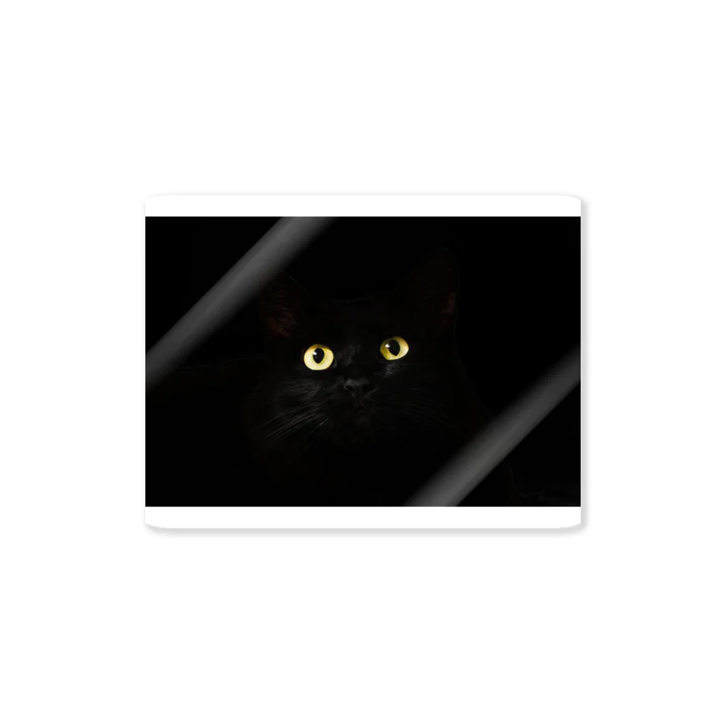 ねこねこのBlack cat　黒猫　 ステッカー