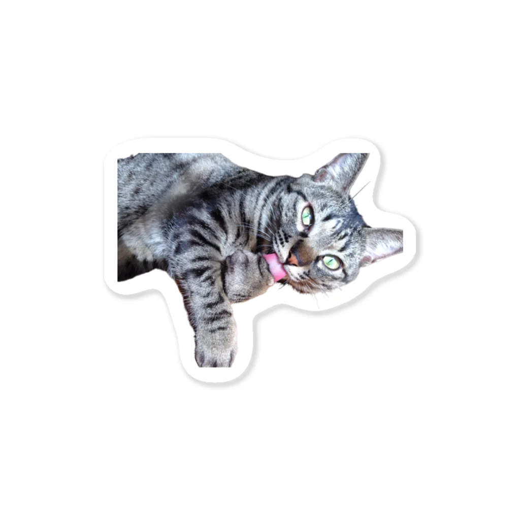 jjjammyのねこくん Sticker