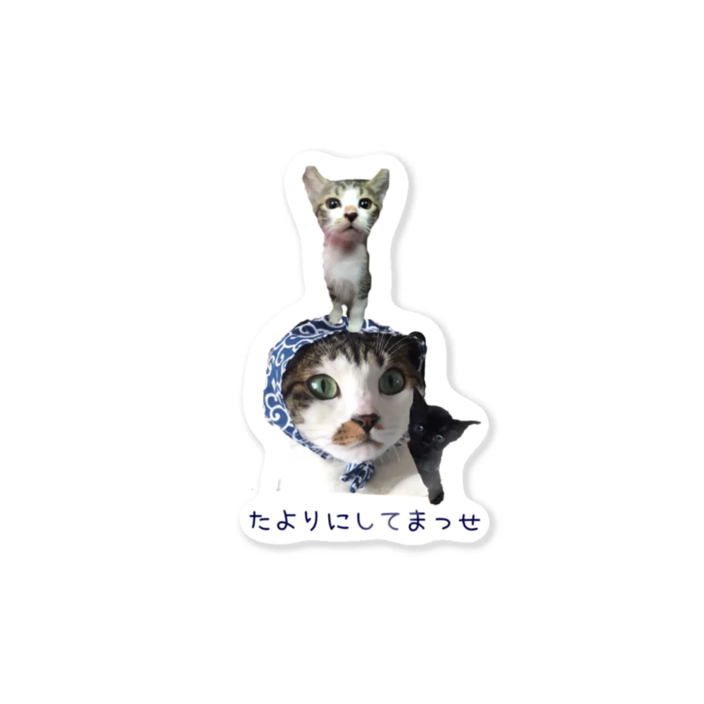 nekopokkuruのたよりにしてまっせ ステッカー