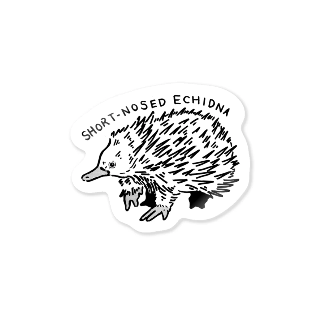 yyyyのShort nosed echidana Sticker