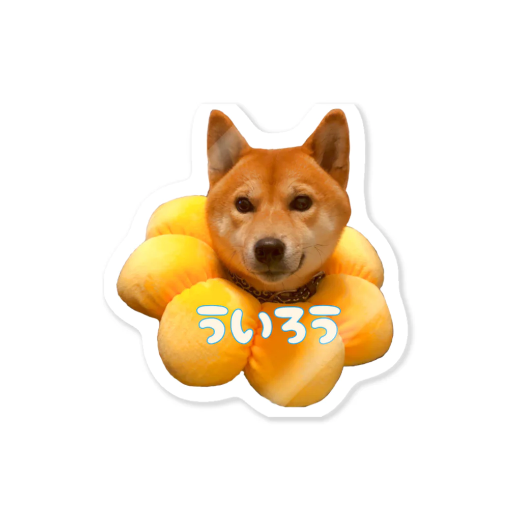 xxxxの柴犬のういろう Sticker