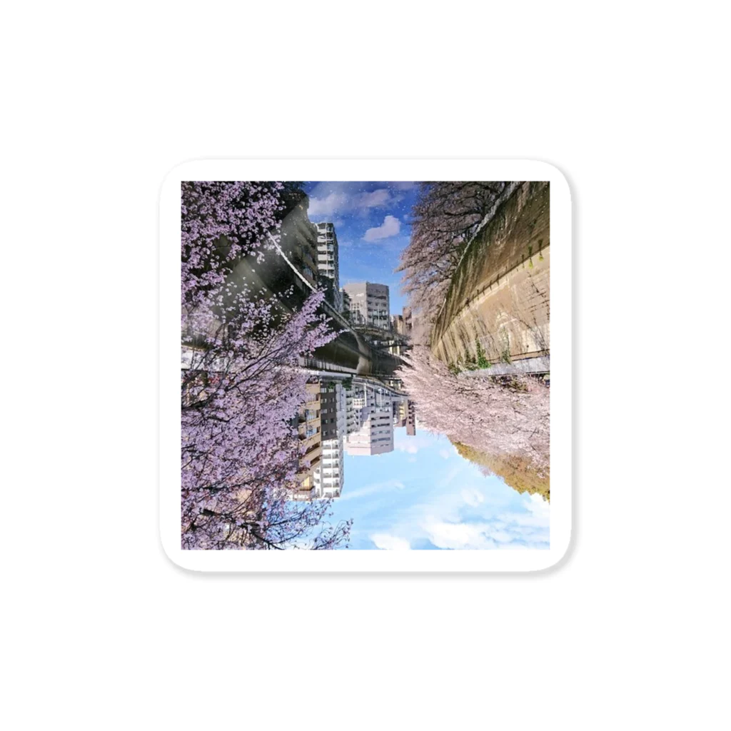古春一生(Koharu Issey)の桜降る川空へ。 Sticker