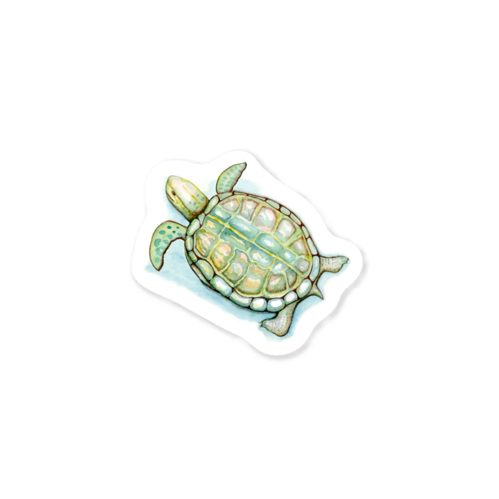 うさぴよ丸のウミガメ Sticker