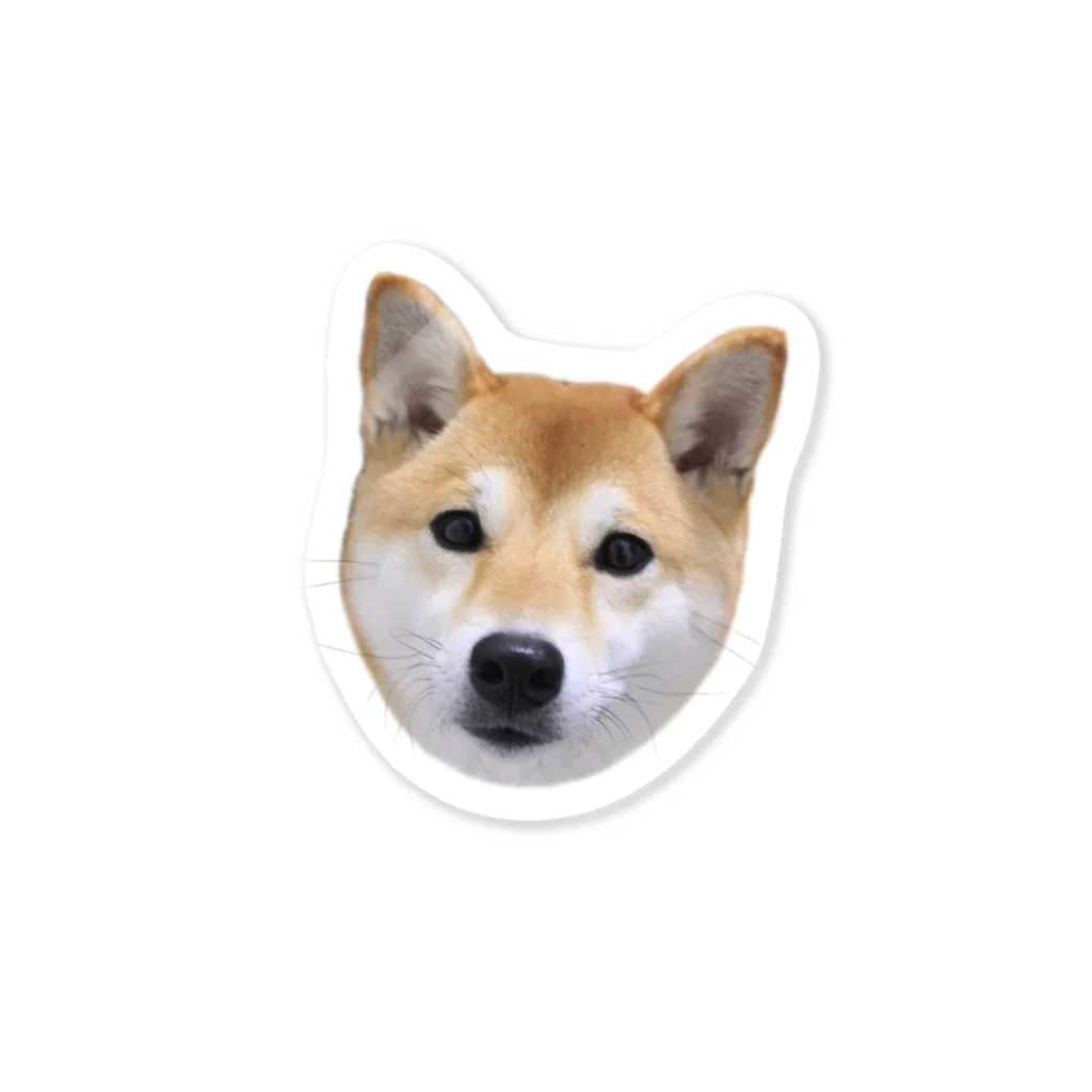 kawaii柴犬のkawaii柴犬・ロゴなし Sticker