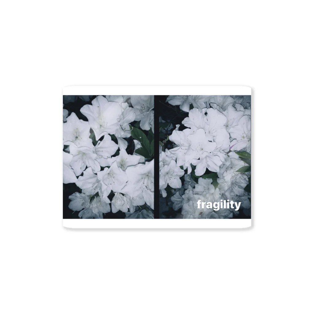 𝖗 𝖎 𝖓のfragility. Sticker