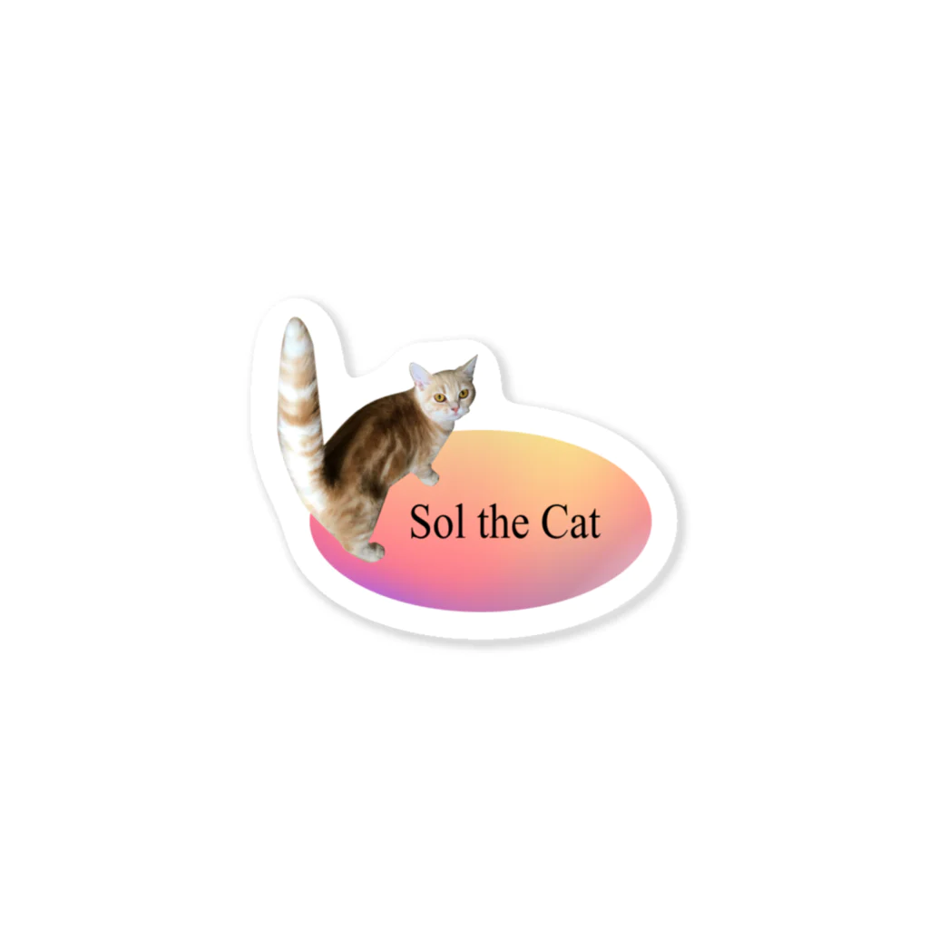 Sol the CatのSol the Cat Sticker