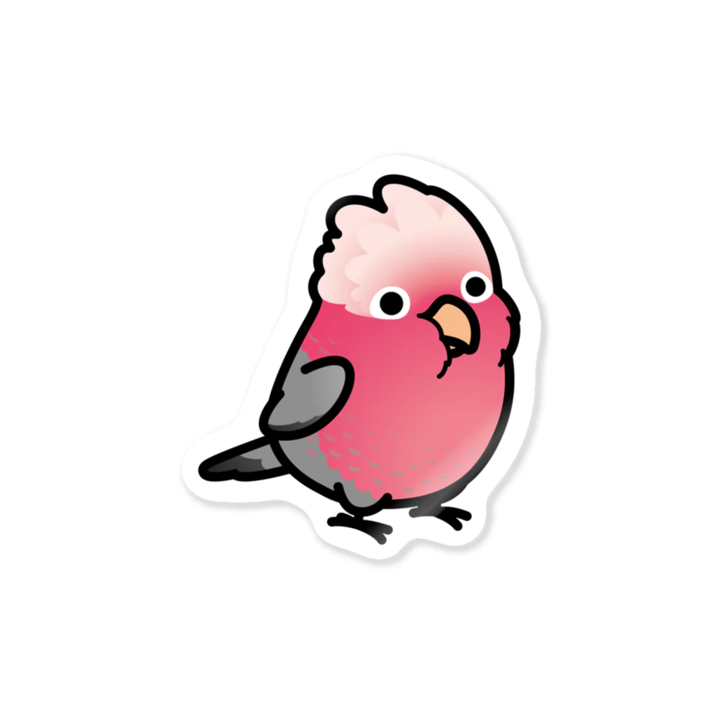 Cody the LovebirdのChubby Bird モモイロインコ ステッカー